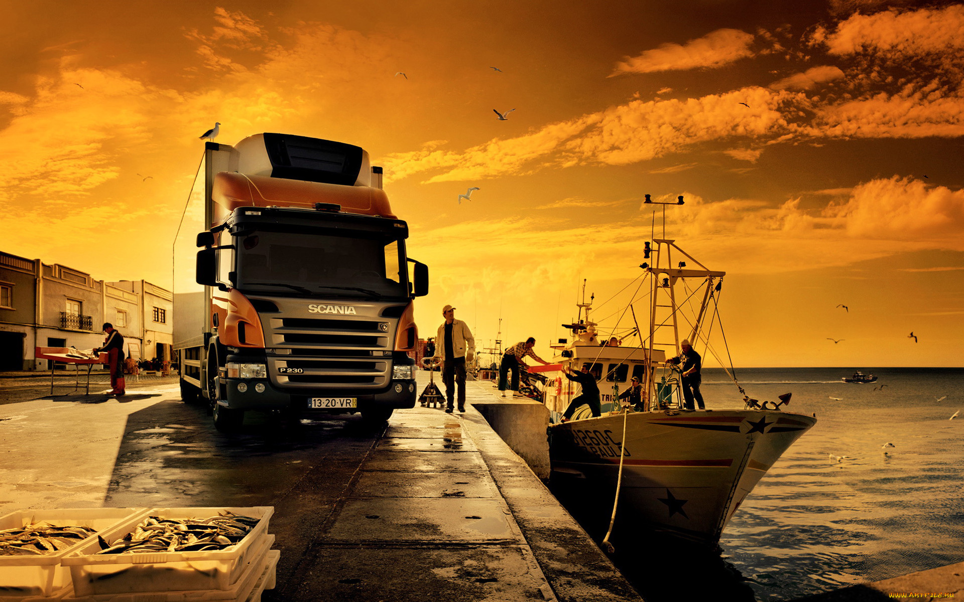, scania